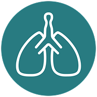 Lungs