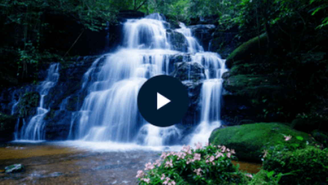 Waterfall in a lush green forest for Stiolto iHub deep relaxation meditation